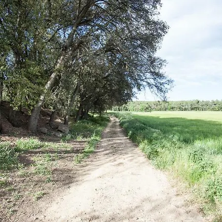 Moli De La Vall * Verges