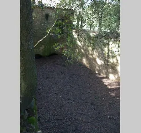 Moli De La Vall